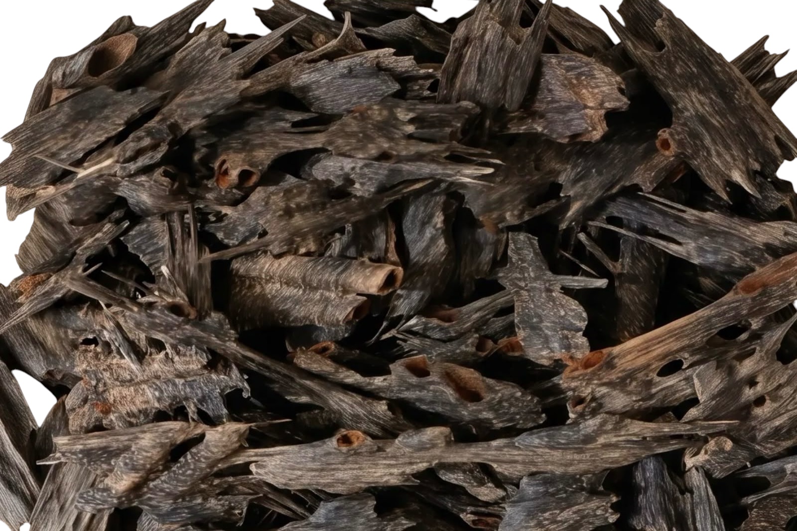 Sylheti Agarwood Oud (Muri+Salla) Cultivated